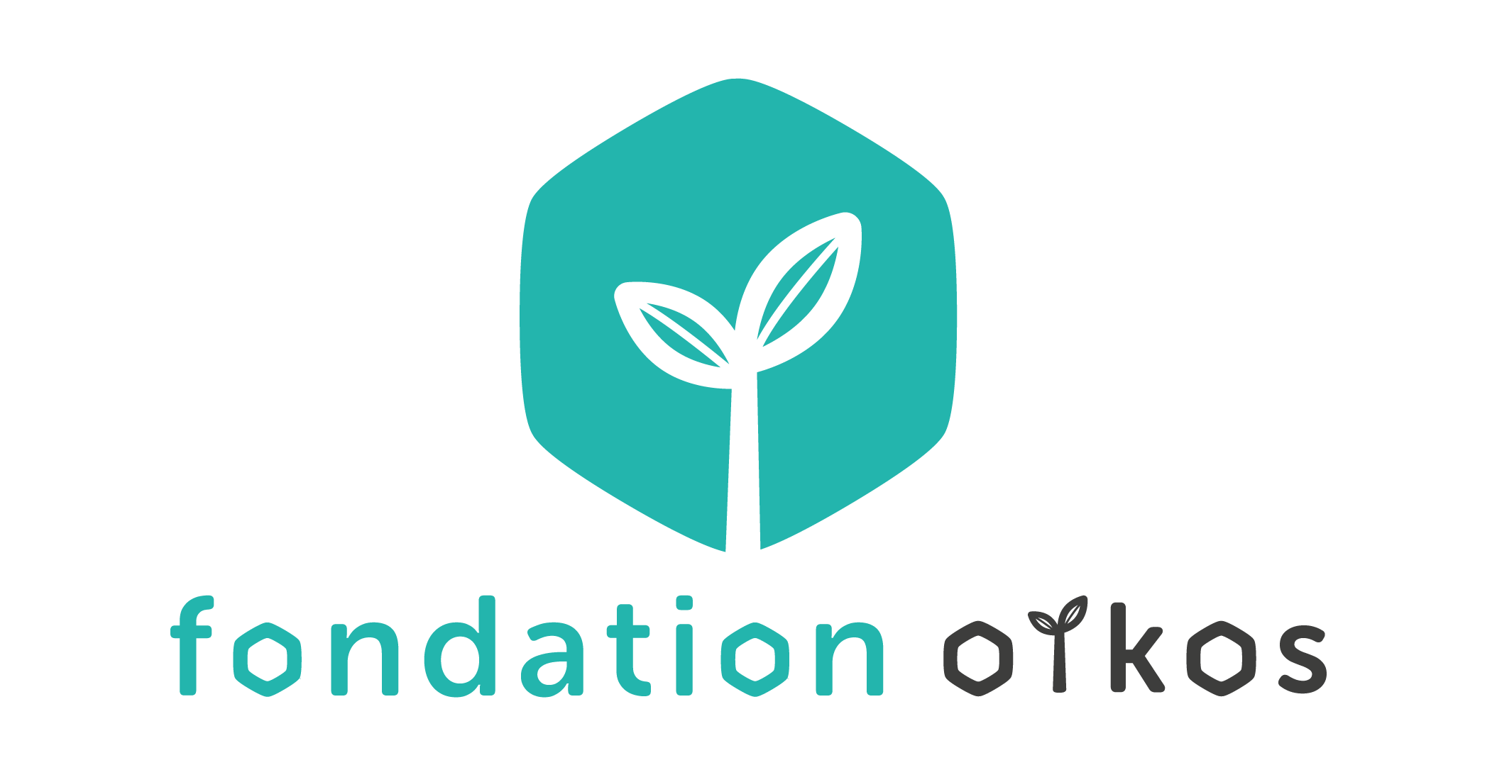 LOGO-FONDATION